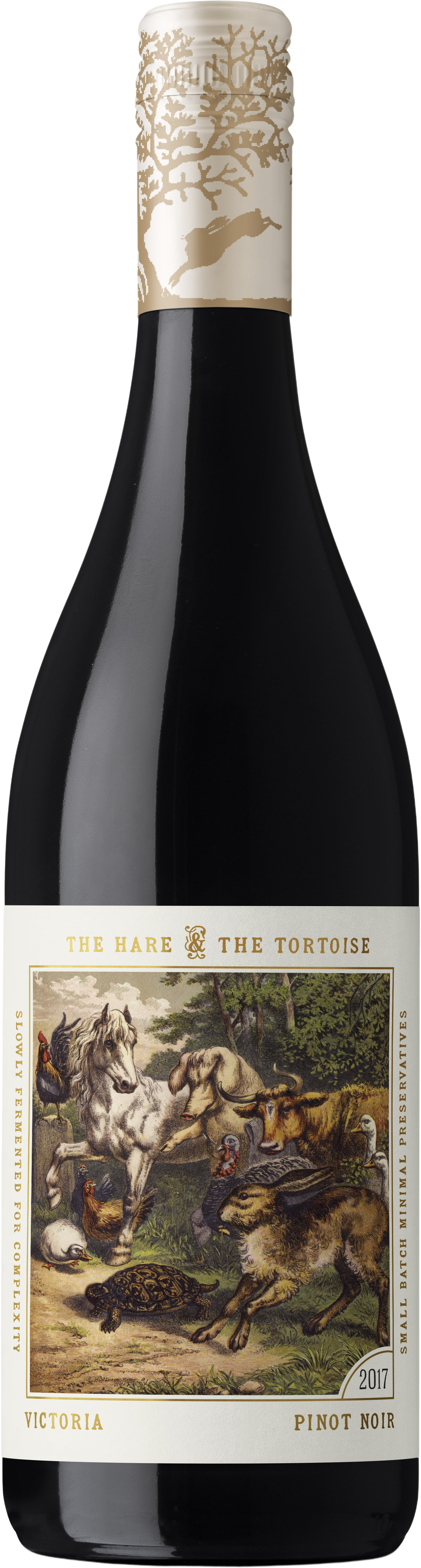 Fourth Wave Wine The Hare & The Tortoise Pinot Noir 2022 Yarra Valley